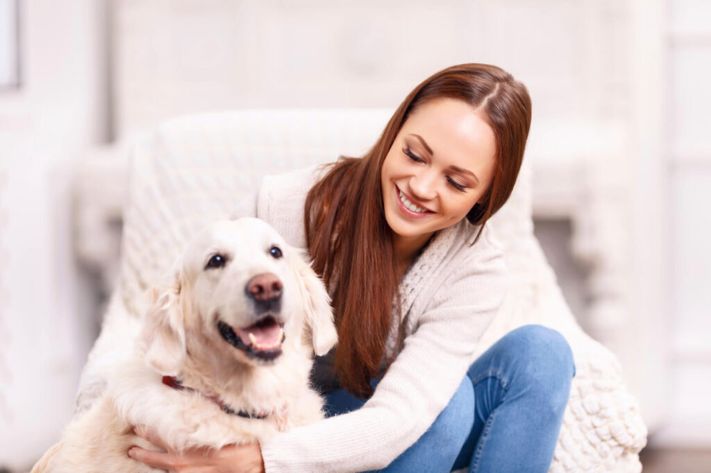 Offer Complete Relaxation with CBD Oil To Your Pet Dogs